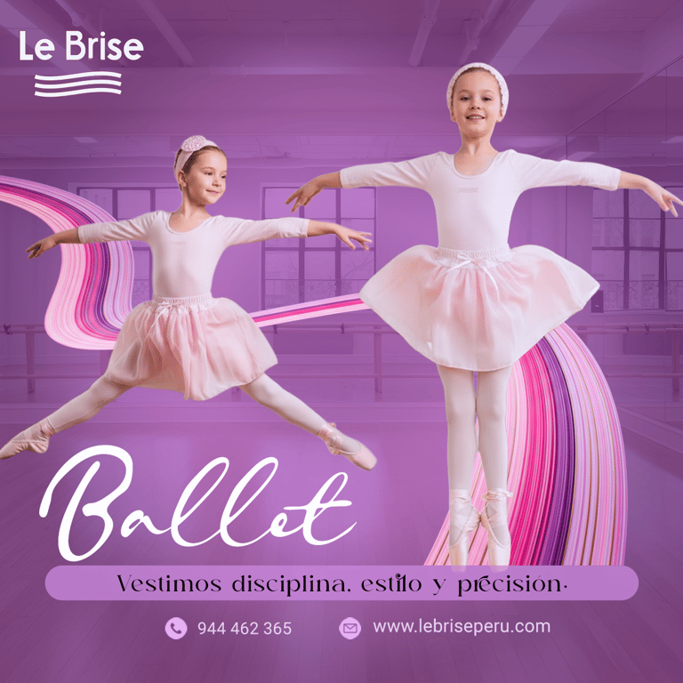 Proyecto contenido Ballet