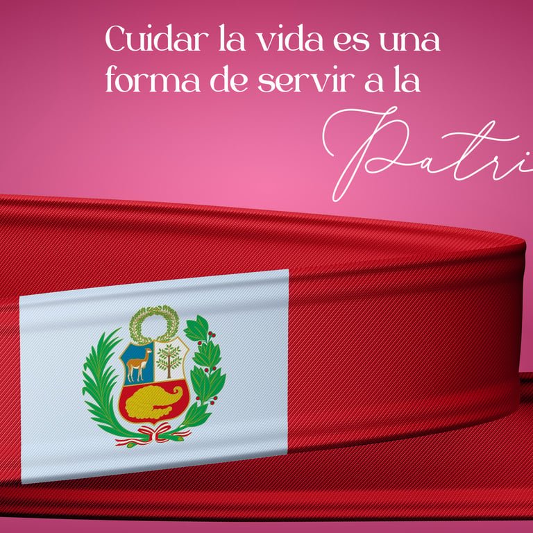 Proyecto contenido Portada Castillo