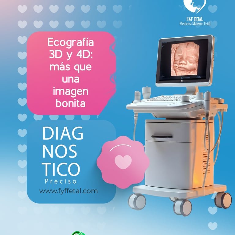 Proyecto contenido Trmodificado