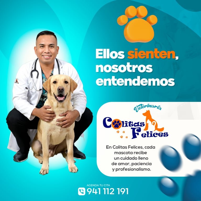 Proyecto contenido Felices Colita