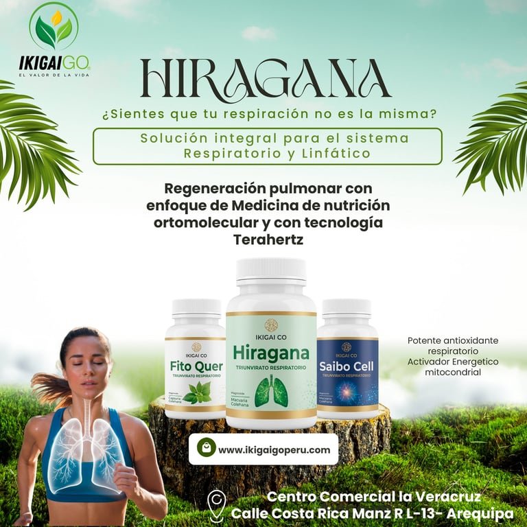 Proyecto contenido Hiragana Final